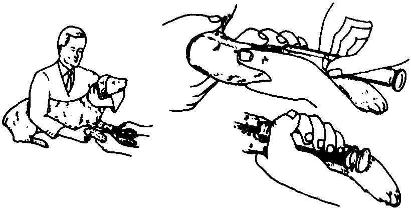 四、注射法